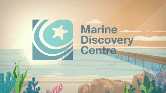 Marine Discovery Centre